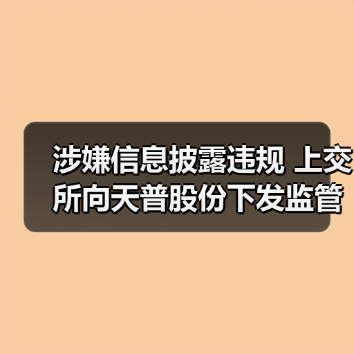 涉嫌信息披露违规 上交所向天普股份下发监管工作函（图2）