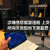 涉嫌信息披露违规 上交所向天普股份下发监管工作函（图1）