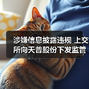 涉嫌信息披露违规 上交所向天普股份下发监管工作函（图4）