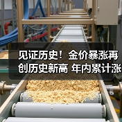 见证历史！金价暴涨再创历史新高 年内累计涨超20%