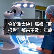 金价涨太快!高盛“撕报告”都来不及:年底现已看向3300美元(图1) 金价涨太快!高盛“撕报告”都来不及:年底现已看向3300美元(图1)