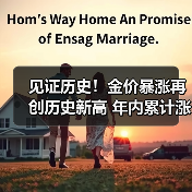 见证历史！金价暴涨再创历史新高 年内累计涨超20%（图3）