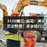 3100美元/盎司!黄金 历史新高!多家银行出手(图1) 3100美元/盎司!黄金 历史新高!多家银行出手(图1)