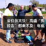 金价涨太快!高盛“撕报告”都来不及:年底现已看向3300美元(图2) 金价涨太快!高盛“撕报告”都来不及:年底现已看向3300美元(图2)