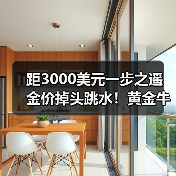 距3000美元一步之遥 金价掉头跳水!黄金牛市熄火?(图3) 距3000美元一步之遥 金价掉头跳水!黄金牛市熄火?(图3)