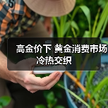 高金价下 黄金消费市场冷热交织（图2）