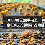 3000美元触手可及!黄金狂飙迭创新高 避险情绪下“金色风暴”袭来?(图4) 3000美元触手可及!黄金狂飙迭创新高 避险情绪下“金色风暴”袭来?(图4)