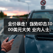 金价暴走!强势叩击3000美元大关 业内人士:“长牛”仍存 谨防短期回落风险(图3) 金价暴走!强势叩击3000美元大关 业内人士:“长牛”仍存 谨防短期回落风险(图3)