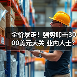 金价暴走!强势叩击3000美元大关 业内人士:“长牛”仍存 谨防短期回落风险(图4) 金价暴走!强势叩击3000美元大关 业内人士:“长牛”仍存 谨防短期回落风险(图4)