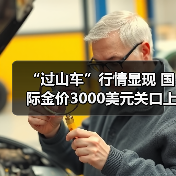 “过山车”行情显现 国际金价3000美元关口上演多空对决（图3）