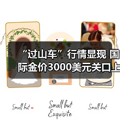 “过山车”行情显现 国际金价3000美元关口上演多空对决（图4）
