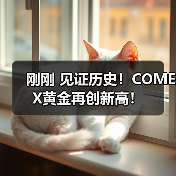 刚刚 见证历史！COMEX黄金再创新高！（图2）