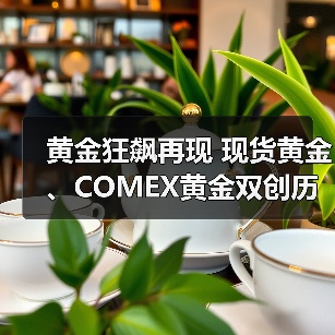 黄金狂飙再现 现货黄金、COMEX黄金双创历史新高 今年3000美元在望？