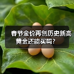 春节金价再创历史新高 黄金还能买吗？（图3）