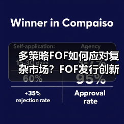 多策略FOF如何应对复杂市场?FOF发行创新高背后的收益与风险平衡(图1) 多策略FOF如何应对复杂市场?FOF发行创新高背后的收益与风险平衡(图1)