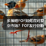 多策略FOF如何应对复杂市场?FOF发行创新高背后的收益与风险平衡(图3) 多策略FOF如何应对复杂市场?FOF发行创新高背后的收益与风险平衡(图3)