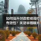 如何提升财政宏观调控有效性?关键举措曝光(图4) 如何提升财政宏观调控有效性?关键举措曝光(图4)