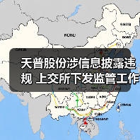 天普股份涉信息披露违规 上交所下发监管工作函引关注