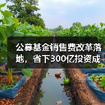 公募基金销售费改革落地，省下300亿投资成本（图2）