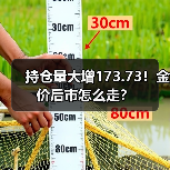持仓量大增173.73!金价后市怎么走?(图2) 持仓量大增173.73!金价后市怎么走?(图2)
