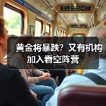 黄金将暴跌?又有机构加入看空阵营(图2) 黄金将暴跌?又有机构加入看空阵营(图2)