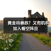 黄金将暴跌?又有机构加入看空阵营(图4) 黄金将暴跌?又有机构加入看空阵营(图4)