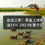 连涨三年!黄金上半年涨25% 2023年至今已涨80%(图4) 连涨三年!黄金上半年涨25% 2023年至今已涨80%(图4)