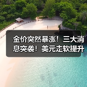 金价突然暴涨!三大消息突袭!美元走软提升黄金吸引力(图4) 金价突然暴涨!三大消息突袭!美元走软提升黄金吸引力(图4)