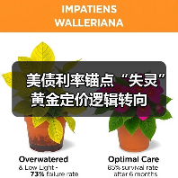 美债利率锚点“失灵” 黄金定价逻辑转向(图3) 美债利率锚点“失灵” 黄金定价逻辑转向(图3)
