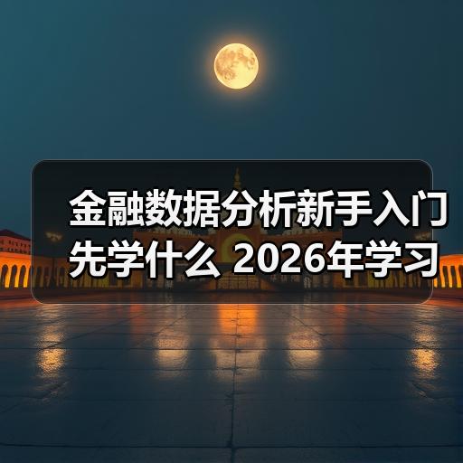 金融数据分析新手入门先学什么 2026年学习路径与常见误区