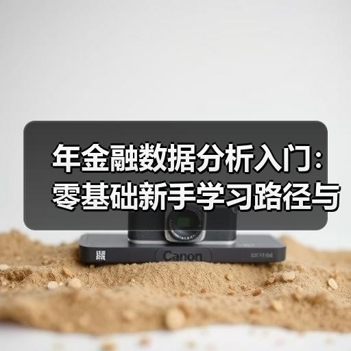 年金融数据分析入门：零基础新手学习路径与工具选择